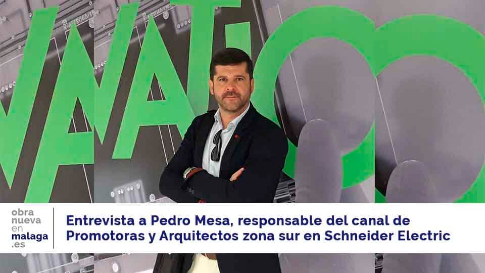 Pedro Mesa Schneider - obra nueva en Málaga