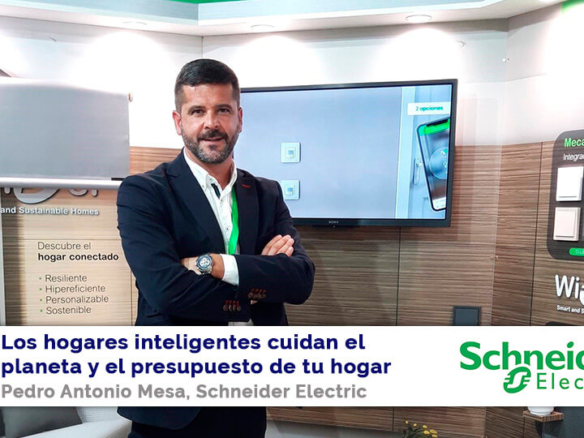pedro mesa schneider electric
