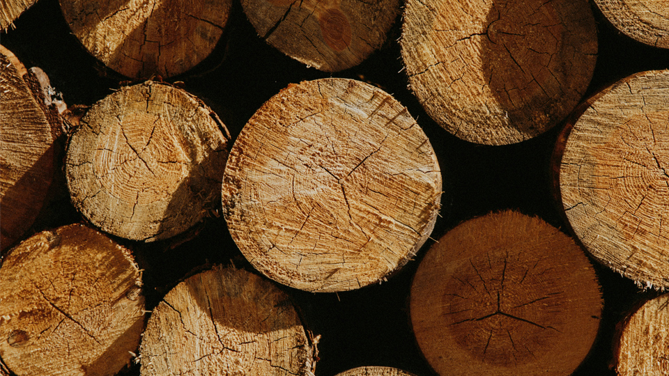LA MADERA